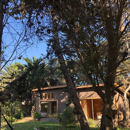 Cabanas En La Naturaleza A Pasos De La Playa La Serena Cameră foto
